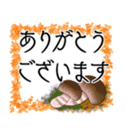 紳士達のデカ文字（個別スタンプ：2）