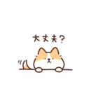 毎日使えるコーギー（個別スタンプ：29）