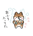 生活する犬<胡麻>（個別スタンプ：8）