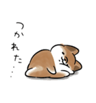 生活する犬<胡麻>（個別スタンプ：18）