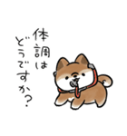 生活する犬<胡麻>（個別スタンプ：36）