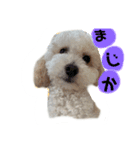 むーと会話（個別スタンプ：1）