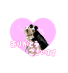 ジュノずんちのスタンプ（個別スタンプ：3）