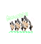 ジュノずんちのスタンプ（個別スタンプ：5）
