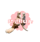 ジュノずんちのスタンプ（個別スタンプ：8）