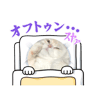 きなこandたんたん（個別スタンプ：8）