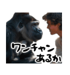 感慨ゴリラゴリラゴリラ癖強でも毎日使える（個別スタンプ：36）