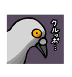 毎日の鳩ちゃんズ（個別スタンプ：39）