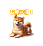 とにかくかわいい 芝犬（個別スタンプ：1）