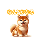 とにかくかわいい 芝犬（個別スタンプ：16）