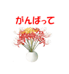 彩り豊かな秋の植物（ボタニカルアート）（個別スタンプ：18）