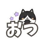 ねここ / 大文字【便利な相づち】（個別スタンプ：23）