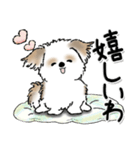 新・シーズー犬【タータンチェック好き】（個別スタンプ：16）