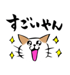 ふでねこ4【関西弁】筆文字（個別スタンプ：34）