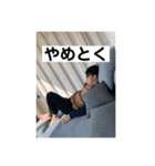 やんたかくん（個別スタンプ：14）