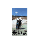 やんたかくん（個別スタンプ：24）