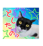 ミツ夫さんの日常スタンプ ハロウィンver.（個別スタンプ：8）