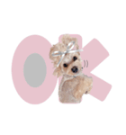 マルプーのらんまる♡（個別スタンプ：4）