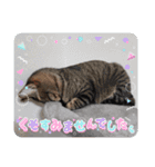 ホルリオン（個別スタンプ：8）