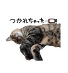 ホルリオン（個別スタンプ：9）