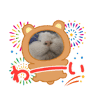 ホルリオン（個別スタンプ：12）