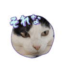 ホルリオン（個別スタンプ：13）