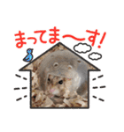 ホルリオン（個別スタンプ：19）