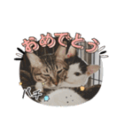 ホルリオン（個別スタンプ：20）