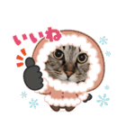 ホルリオン（個別スタンプ：28）