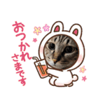 ホルリオン（個別スタンプ：30）