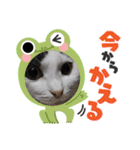 ホルリオン（個別スタンプ：31）