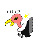 いろんな鳥たちshun（個別スタンプ：5）