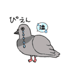 いろんな鳥たちshun（個別スタンプ：7）