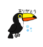 いろんな鳥たちshun（個別スタンプ：10）
