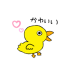 いろんな鳥たちshun（個別スタンプ：13）