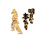 KARATE  KATA  STICKER 2（個別スタンプ：22）