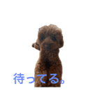 Moca'sスタンプ①（個別スタンプ：2）