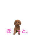Moca'sスタンプ①（個別スタンプ：5）