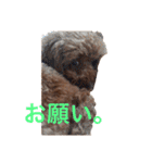 Moca'sスタンプ①（個別スタンプ：11）
