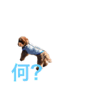 Moca'sスタンプ①（個別スタンプ：14）