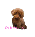 Moca'sスタンプ①（個別スタンプ：18）