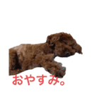 Moca'sスタンプ①（個別スタンプ：20）