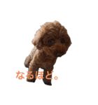Moca'sスタンプ①（個別スタンプ：21）