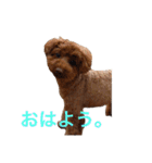 Moca'sスタンプ①（個別スタンプ：25）