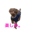 Moca'sスタンプ①（個別スタンプ：27）
