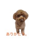 Moca'sスタンプ①（個別スタンプ：28）