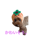 Moca'sスタンプ①（個別スタンプ：30）