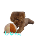 Moca'sスタンプ①（個別スタンプ：32）
