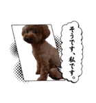 Moca'sスタンプ①（個別スタンプ：40）