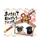 パグ犬きなこ＆あんこ2（個別スタンプ：24）